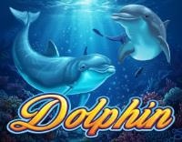 Dolphin Mega888